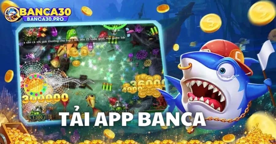 Quy trình tải ứng dụng Banca về các thiết bị điện thoại